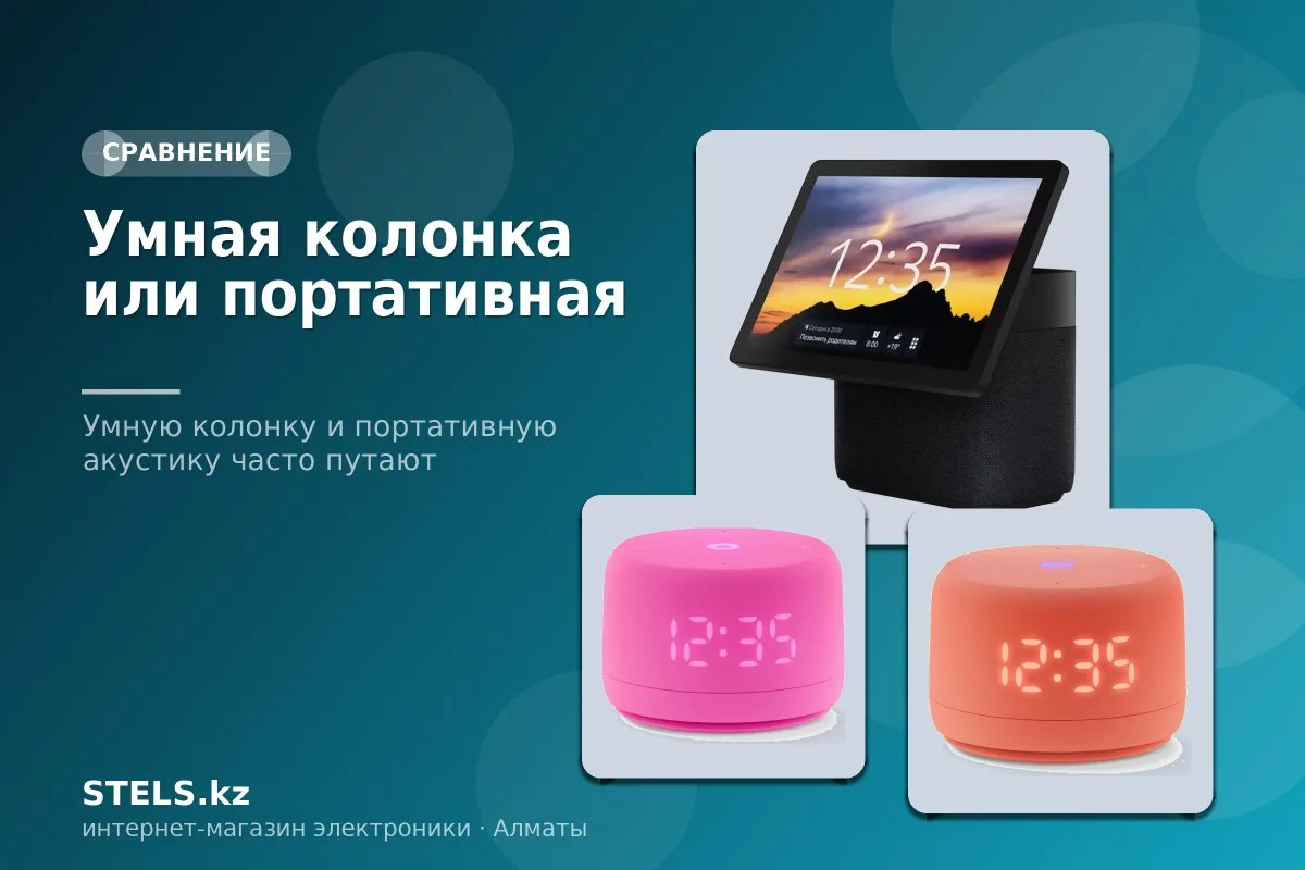 Умная колонка или портативная Умная колонка или портативная
