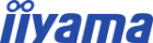 Iiyama
