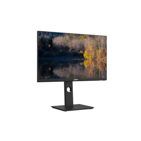 Монитор 24″ Dahua DHI-LM24-P301A