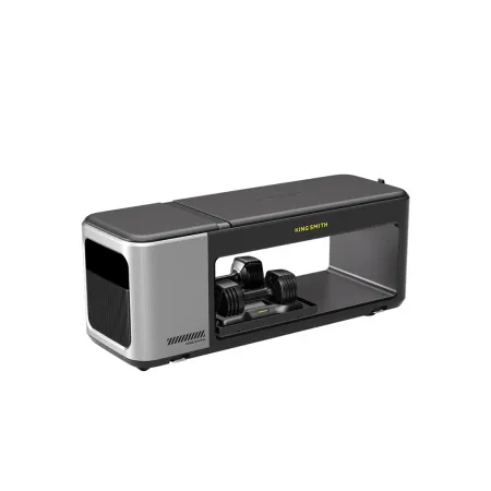 Многофункциональный Тренажер KingSmith BX2