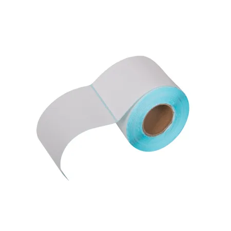 Термоэтикетки в рулоне Europrint EPLE-100.100.1670.76 (1 рулон)