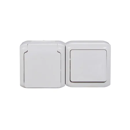 Выключатель с крышкой + Розетка Legrand Forix 16A 250В IP44 накладной белый