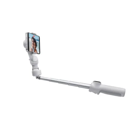 Стедикам Insta360 Flow2 Standard Bundle Stone Gray
