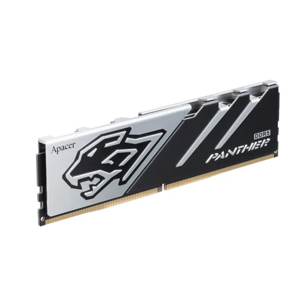 Комплект модулей памяти Apacer Panther AH5U32G52C5227BAA-2 DDR5 32GB (Kit 2x16GB)