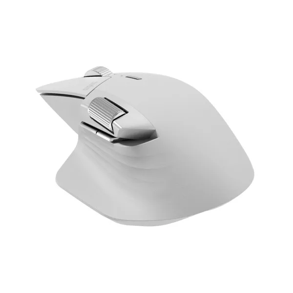 Компьютерная мышь Rapoo MT760L Белый