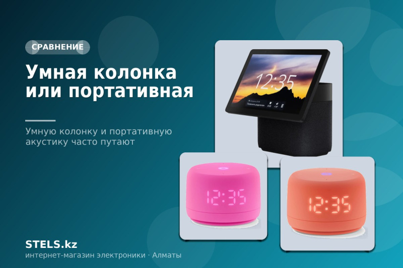 Умная колонка или портативная