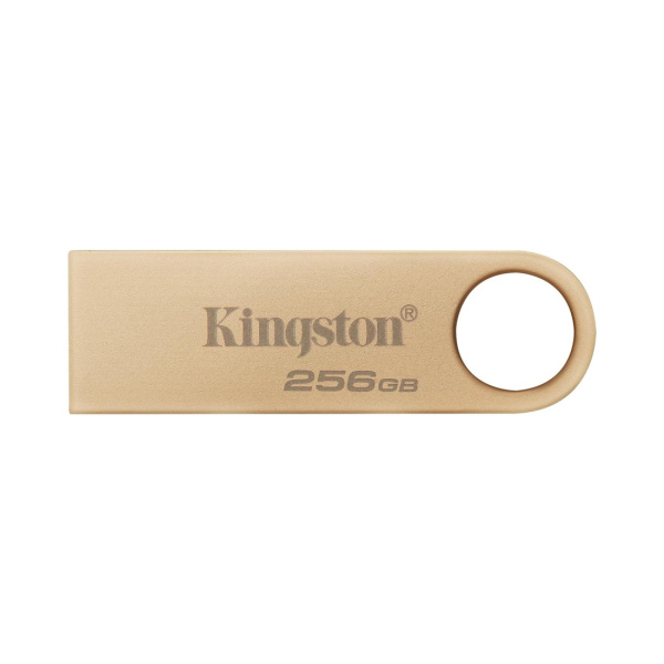 USB-накопитель Kingston DataTraveler SE9 G3 DTSE9G3/256GB 256GB Золотистый в интернет магазине Stels.kz