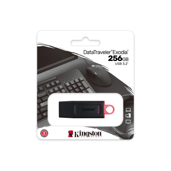 USB-накопитель Kingston DTX/256GB 256GB Чёрный в интернет магазине Stels.kz
