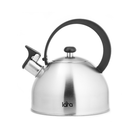 Чайник LARA LR00-65 матовый в интернет магазине Stels.kz