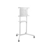 Стойка мобильная Brateck TTV11-46TW