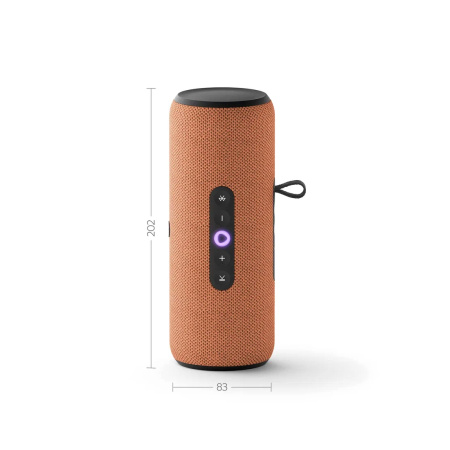 Портативная умная колонка Яндекс Станция Стрит с Алисой, 30 Вт, Оранжевый в интернет магазине Stels.kz