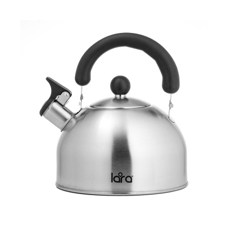 Чайник LARA LR00-40 матовый в интернет магазине Stels.kz
