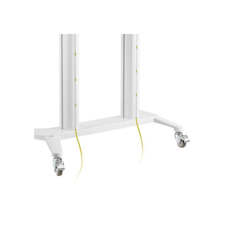 Стойка мобильная Brateck TTL12-610TW в интернет магазине Stels.kz