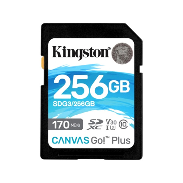 Карта памяти Kingston SDG3/256GB SD 256GB в интернет магазине Stels.kz