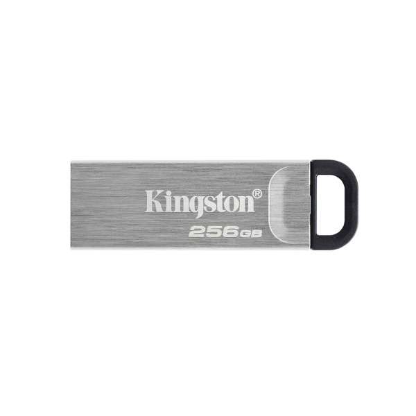 USB-накопитель Kingston DTKN/256GB 256GB Серебристый в интернет магазине Stels.kz