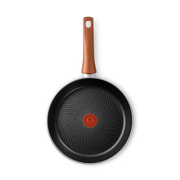 Купить не дорого Сковорода Tefal Maxima 4222122 22см в интернет магазине Stels.kz Сковорода Tefal Maxima 4222122 22см в интернет магазине Stels.kz