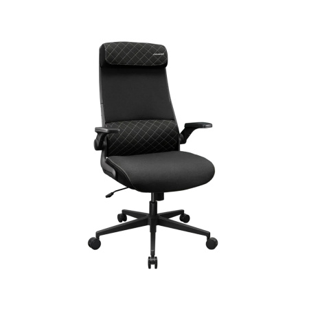 Компьютерное кресло Cougar Stryder