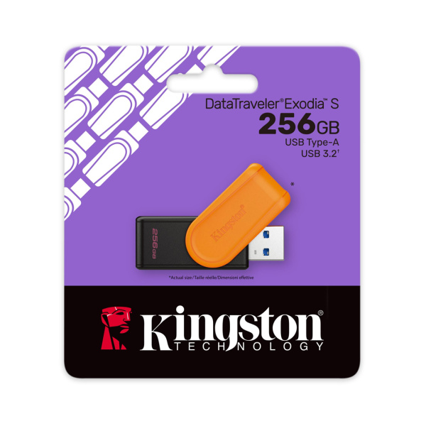USB-накопитель Kingston DTXS/256GB 256GB в интернет магазине Stels.kz
