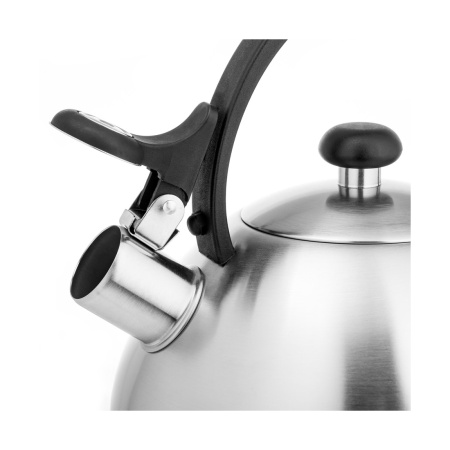 Чайник LARA LR00-65 матовый в интернет магазине Stels.kz