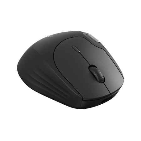 Компьютерная мышь Rapoo MT560 Black в интернет магазине Stels.kz