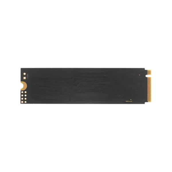 Купить не дорого Твердотельный накопитель SSD AMD Radeon R5MP1024G8 1024GB M.2 NVMe PCIe 3.0x4 в интернет магазине Stels.kz Твердотельный накопитель SSD AMD Radeon R5MP1024G8 1024GB M.2 NVMe PCIe 3.0x4 в интернет магазине Stels.kz