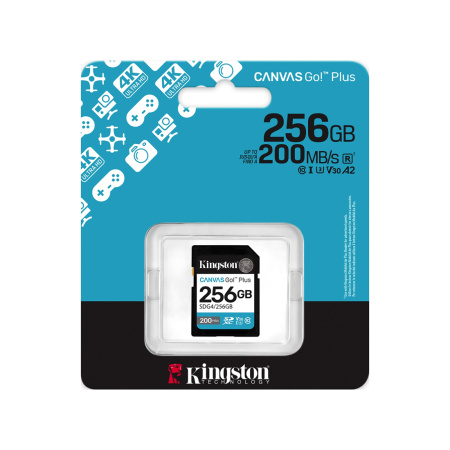 Карта памяти Kingston SDG4/256GB Canvas Go Plus Gen4 C10 UHS-I U3 V30 256GB в интернет магазине Stels.kz