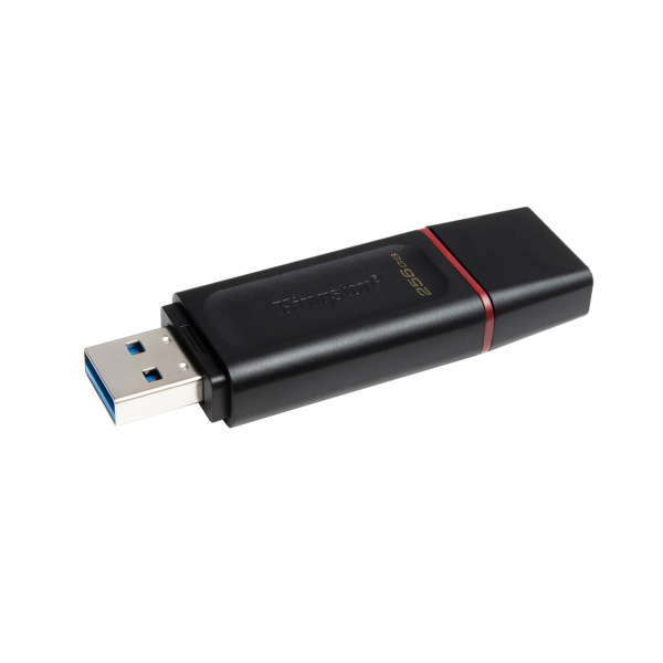 USB-накопитель Kingston DTX/256GB 256GB Чёрный в интернет магазине Stels.kz