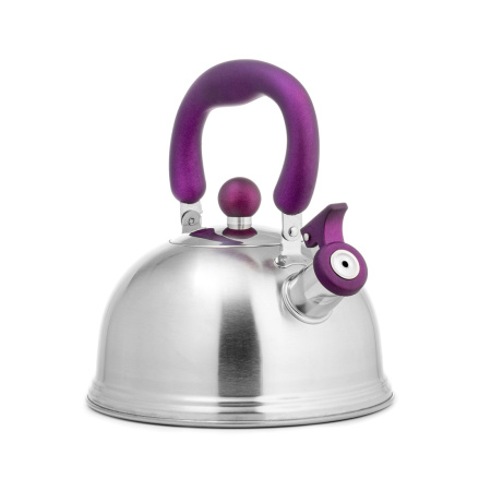 Чайник LARA LR00-61 матовый в интернет магазине Stels.kz