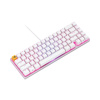 Клавиатура Glorious GMMK2 Compact White (GLO-GMMK2-65-FOX-W) в интернет магазине Stels.kz