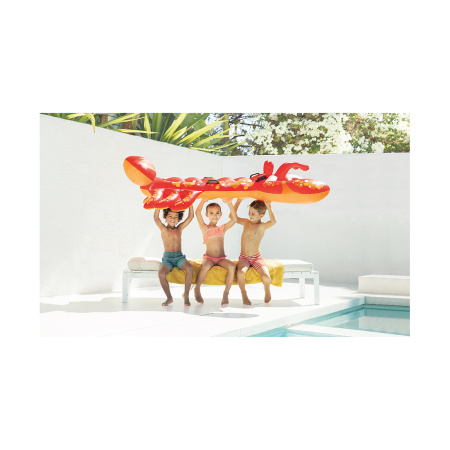 Надувная игрушка Intex 57528NP в форме Лобстера для плавания в интернет магазине Stels.kz