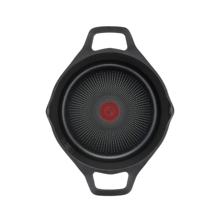 Кастрюля Tefal Delicio E2324674 24см 4.3л в интернет магазине Stels.kz