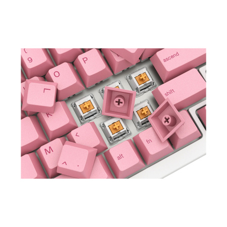 Набор кнопок на клавиатуру Glorious GPBT Keycaps Grapefruit (GLO-KC-GPBT-PG) в интернет магазине Stels.kz