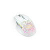 Компьютерная мышь Glorious Model I 2 Matte White (GLO-MS-IWV2-MW) в интернет магазине Stels.kz