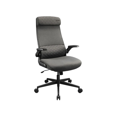 Компьютерное кресло Cougar Stryder Gray