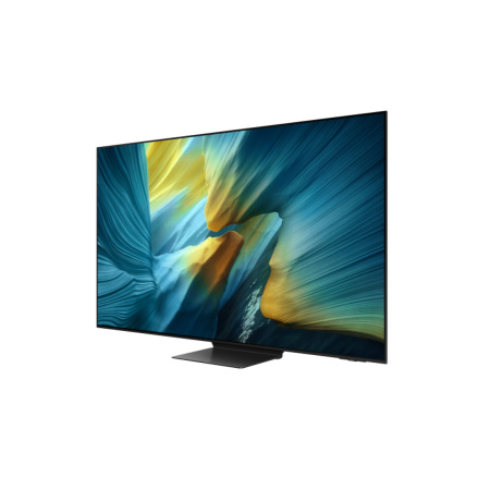 Телевизор SAMSUNG QE65S95FAUXCE в интернет магазине Stels.kz