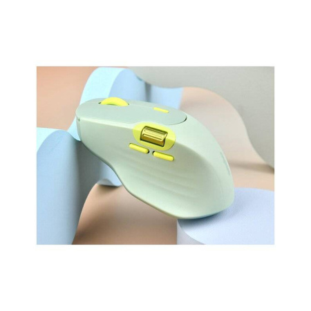 Компьютерная мышь Rapoo MT560 Pale Green в интернет магазине Stels.kz