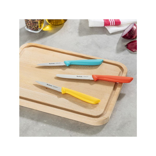 Купить не дорого Набор ножей Tefal Colourfood K273S304 3 шт в интернет магазине Stels.kz Набор ножей Tefal Colourfood K273S304 3 шт в интернет магазине Stels.kz