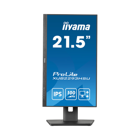 Монитор iiyama ProLite PL2293HS XUB2293HSU-B6 21.5" в интернет магазине Stels.kz
