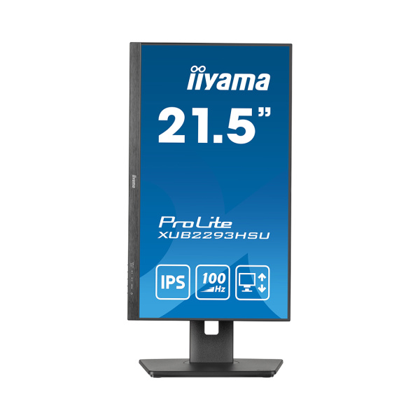 Монитор iiyama ProLite PL2293HS XUB2293HSU-B6 21.5" в интернет магазине Stels.kz