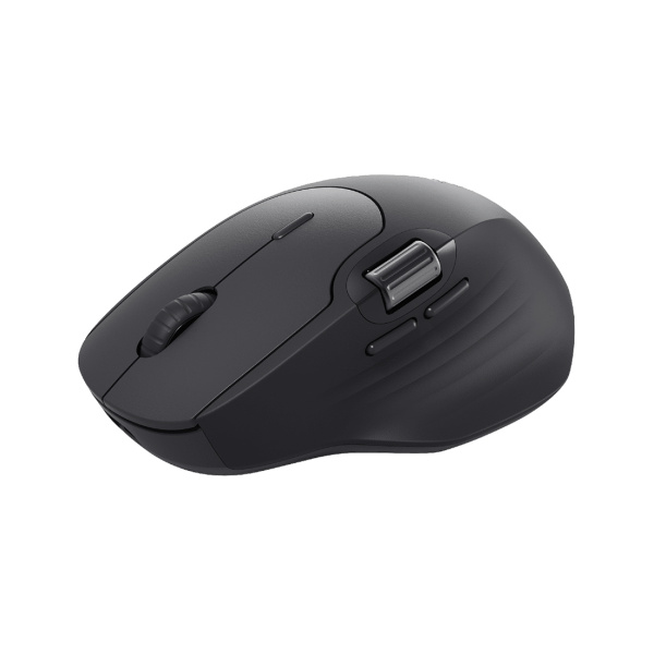 Компьютерная мышь Rapoo MT560 Black Компьютерная мышь Rapoo MT560 Black