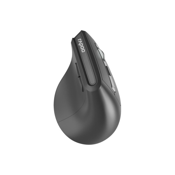 Компьютерная мышь Rapoo EV310M Компьютерная мышь Rapoo EV310M