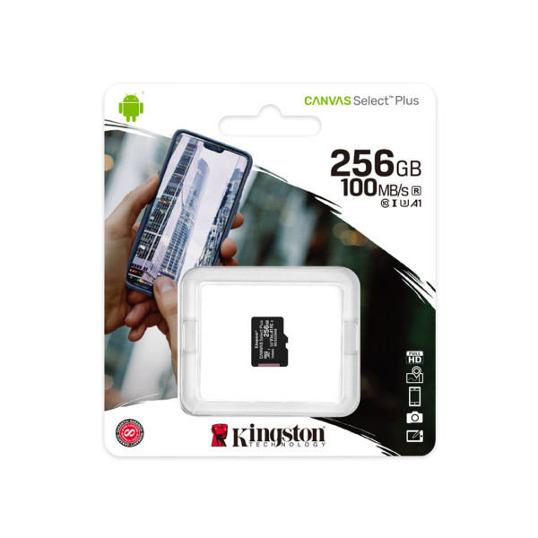 Карта памяти Kingston SDCS2/256GBSP Class 10 256GB без адаптера в интернет магазине Stels.kz