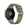 Смарт часы Huawei Watch GT 4 PNX-B19 46mm Green Woven Strap в интернет магазине Stels.kz
