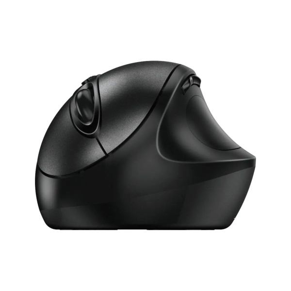 Купить не дорого Компьютерная мышь Genius Ergo 8300S Black в интернет магазине Stels.kz Компьютерная мышь Genius Ergo 8300S Black в интернет магазине Stels.kz