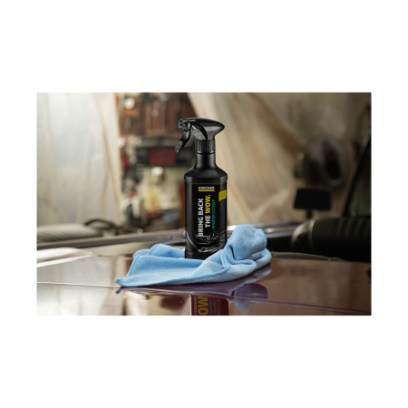 Средство для чистки салона KARCHER H&G RM 651 в интернет магазине Stels.kz