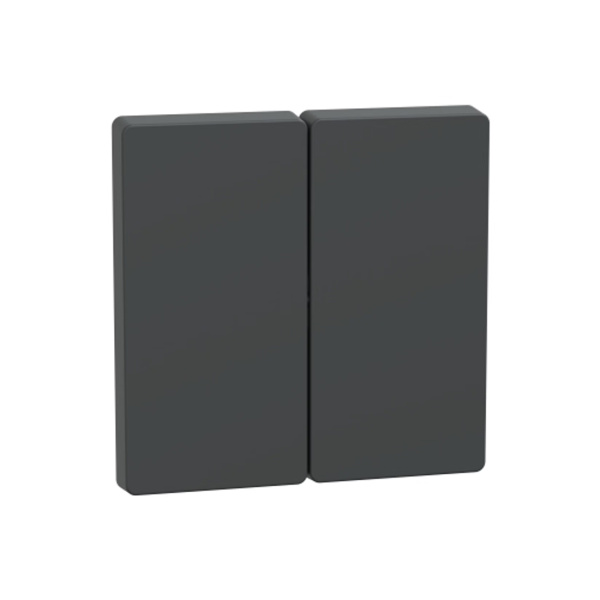 Клавиша MERTEN MTN3400-6034 D-Life 2-ная антрацит