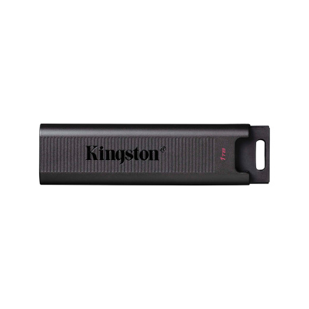 USB-накопитель Kingston DTMAX/1TB 1TB Черный в интернет магазине Stels.kz