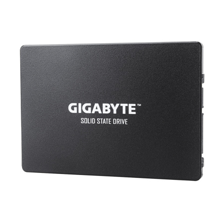 Купить не дорого Твердотельный накопитель внутренний Gigabyte GP-GSTFS31100TNTD в интернет магазине Stels.kz Твердотельный накопитель внутренний Gigabyte GP-GSTFS31100TNTD в интернет магазине Stels.kz
