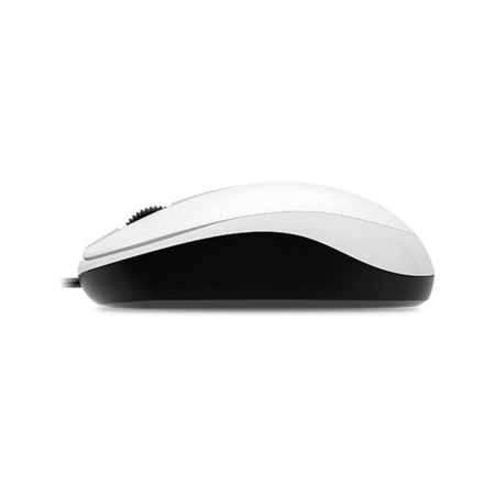 Компьютерная мышь Genius DX-120 White в интернет магазине Stels.kz